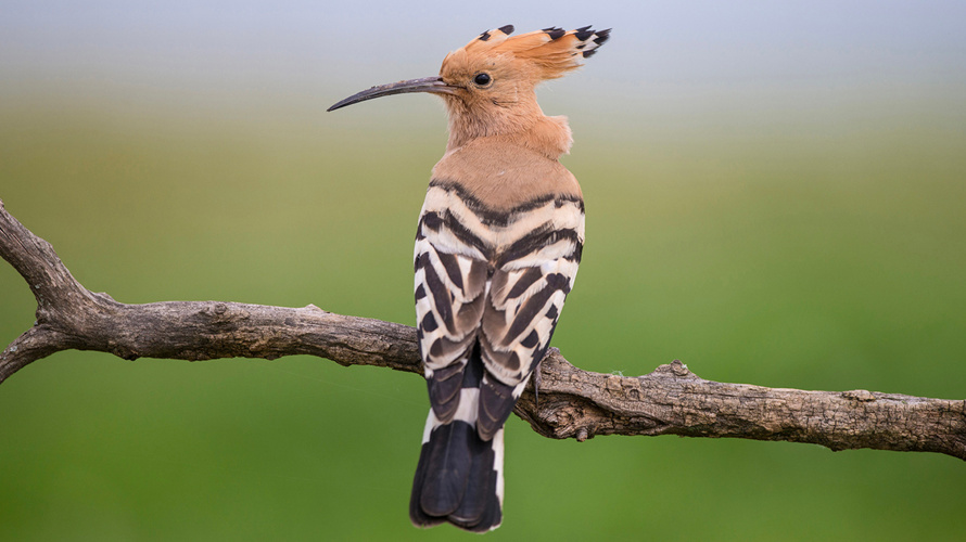 Unterschlupf im Schlipf