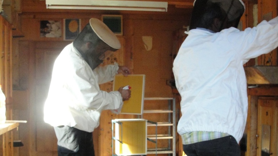 Erweiterung Lehrbienenstand