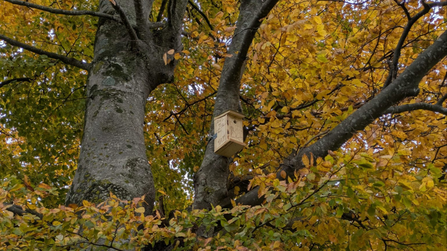 Spirale en pierres sèches de plantes aromatiques