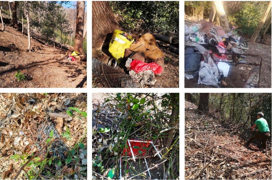 Unterstützung bei Waldreinigung und Unterhalt