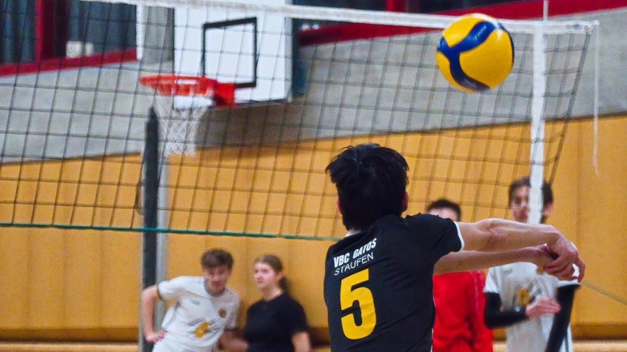 Spielerlizenzen und Mannschaftskleidung VBC Gatos Staufen