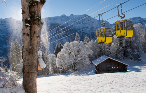 Fuchsgadä Braunwald
