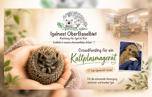 Rettung für Igel in Not