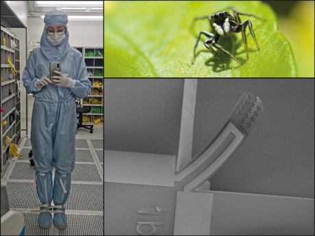 [Portraits de musiciens] - Laurène, violoniste