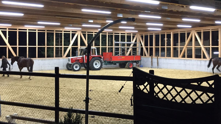 Endlich ein  Dach über dem Kopf, jetzt fehlen uns nur noch Wände