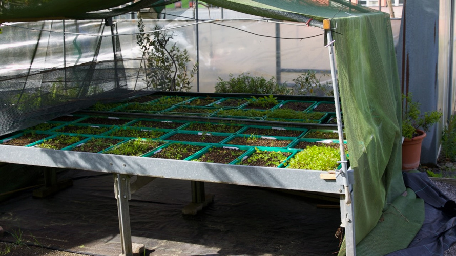 Für mehr Biodiversität – und neue Zukunftschancen
