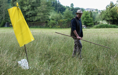 Drohne zur Rettung der Rehkitze