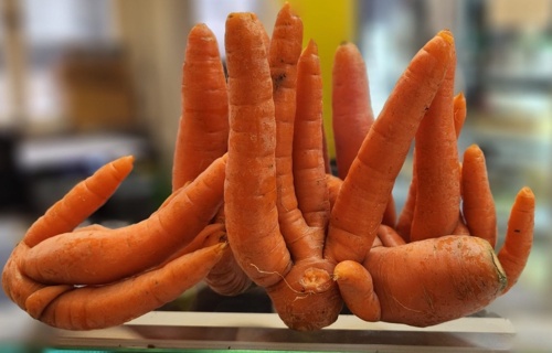 Anti foodwaste Verein Fritz&Frieda