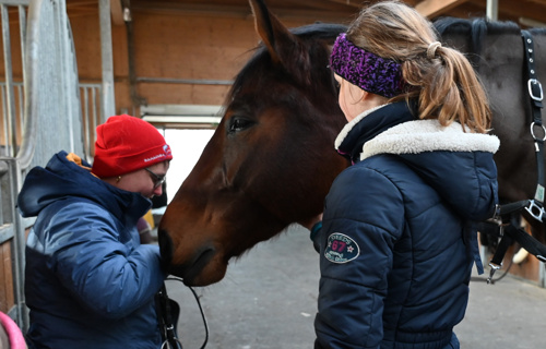 Verein Voltige Forch