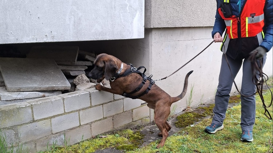 Wärmebild Drohne für Tiersuch Staffel Klettgau