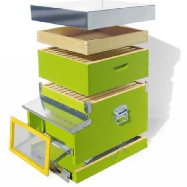 Bienenbeute mit Namen + 1kg Honig