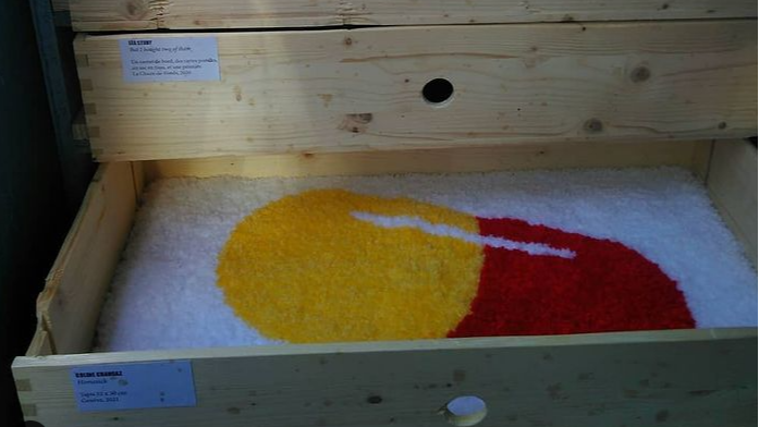 VS 104 738 - un espace d'art itinérant