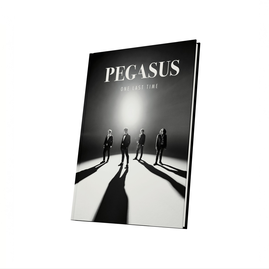 BUCH "Pegasus - das letzte Jahr"