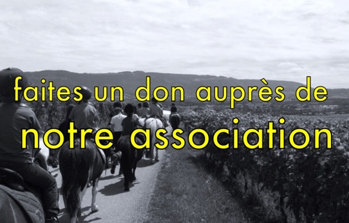 Action Mimosa du Bonheur Caritas-Jeunesse