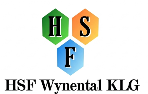 Grenzenlos Mobil-elektrisch