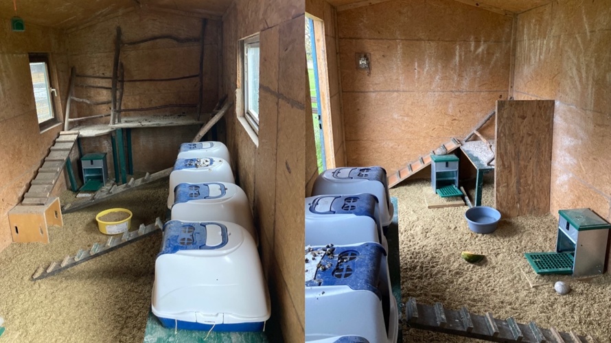 Barrierefreier Hühnerstall