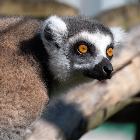 Wir haben es geschafft!