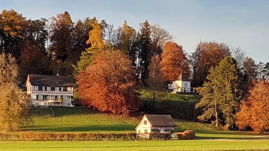 Spatz – wir gründen eine digitale Nachbarschaftszeitung