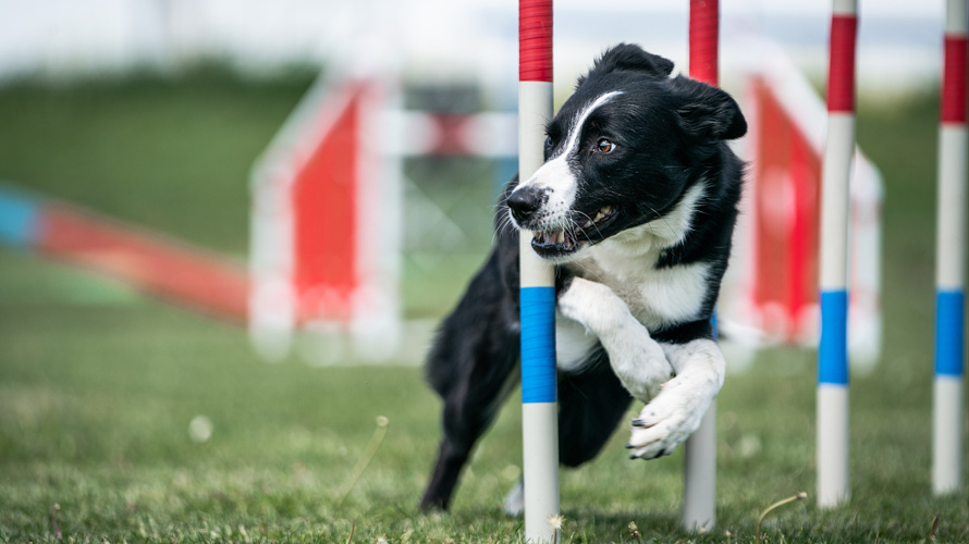 KV Wolhusen und Umgebung