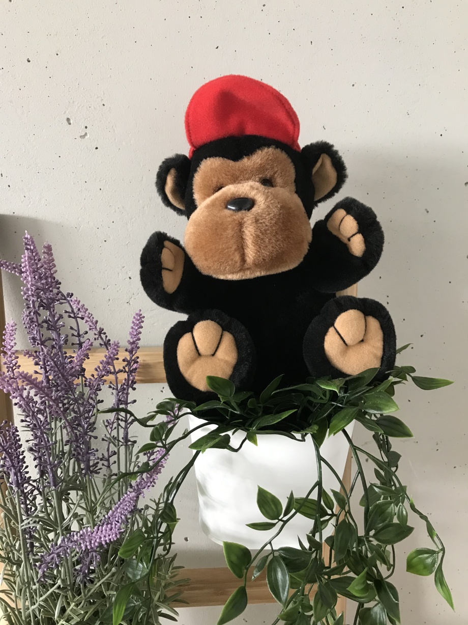 Le dernier singe, mascotte 2003