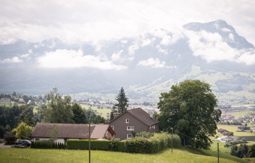 Tierschutzverein Schwyz