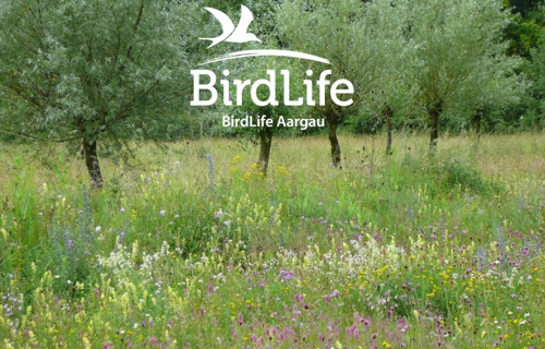 BirdLife Aargau