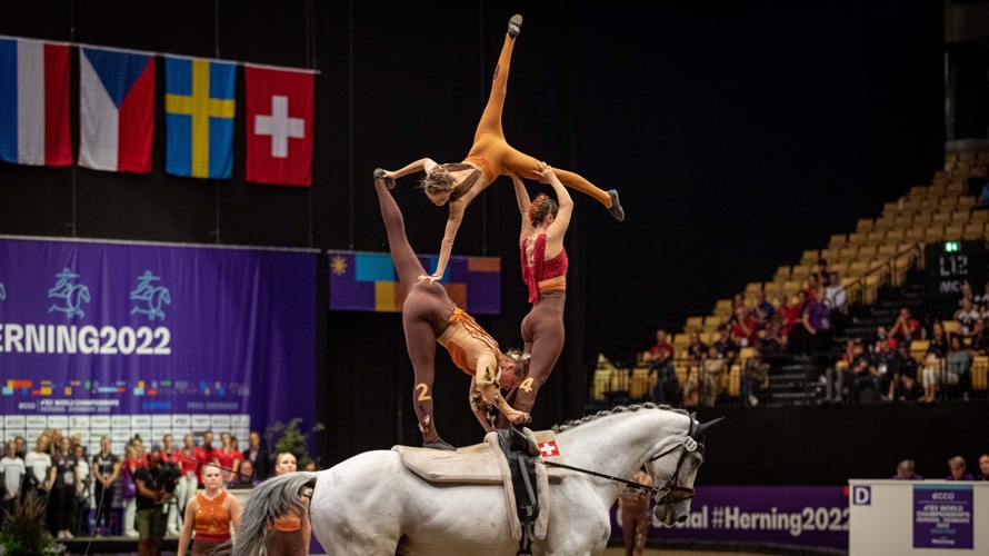 Voltige Lütisburg - unser Weg an die Weltmeisterschaft