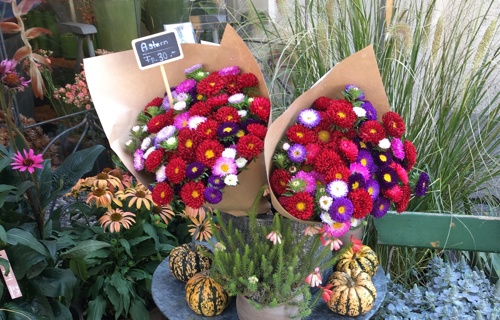 Stadtplanfinanzierung insideaarau