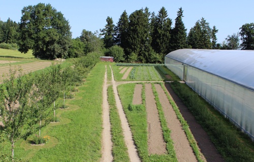 Saisonales Biogemüse aus zukunftsweisenden Anbaumethoden