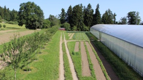Saisonales Biogemüse aus zukunftsweisenden Anbaumethoden