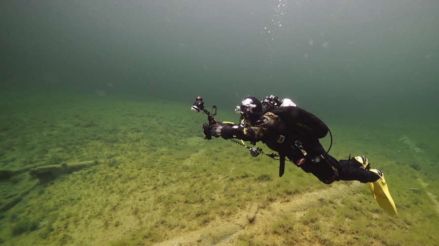 Tauchclub Wasserfrösche Basel