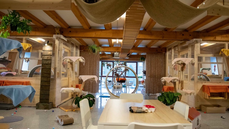 Katzenpension und Katzenheim Cats Land