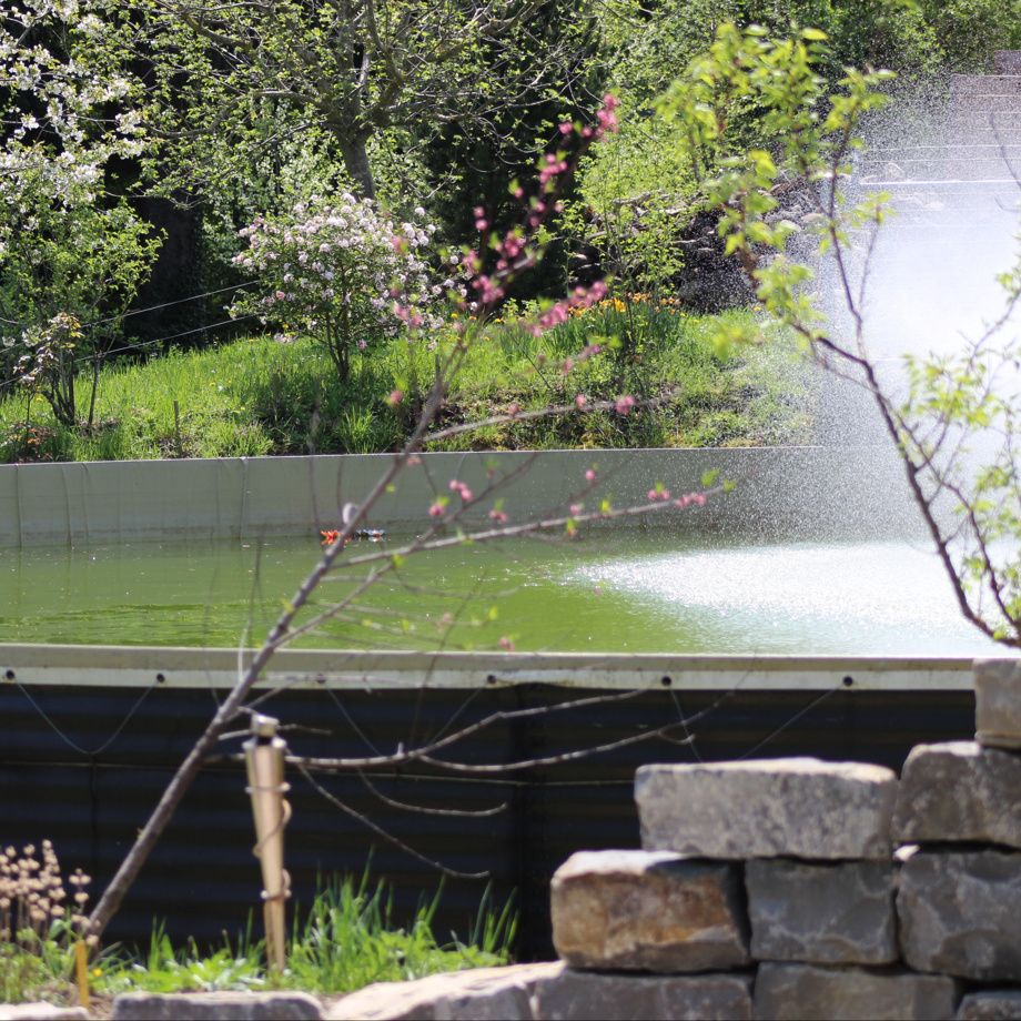 Wasser ist Leben! in Ihrem Namen!