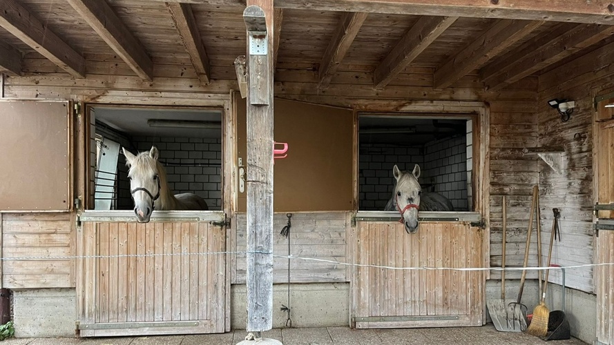 Verein Pferdestall Rigi Kaltbad First