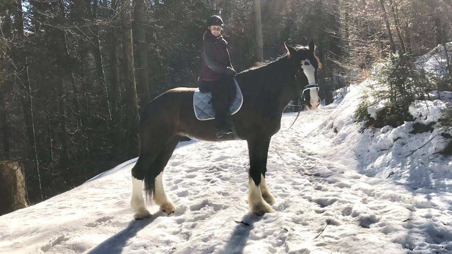 Pferdegestützte (Trauma-) Therapie ermöglichen