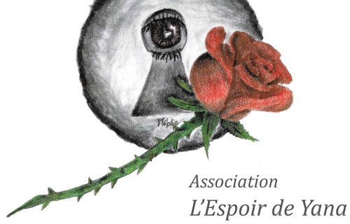 Collecte urgente contre les violences domestiques