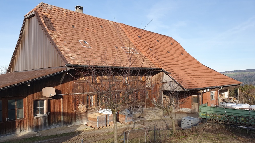 Erhalt eines schützenswerten Bauernhauses mit Scheune von 1808