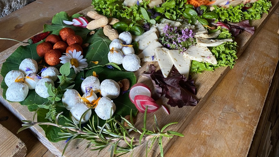 Stiftung Alpe Hannig Saas Fee