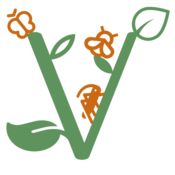 Biodiversité Vuisternens