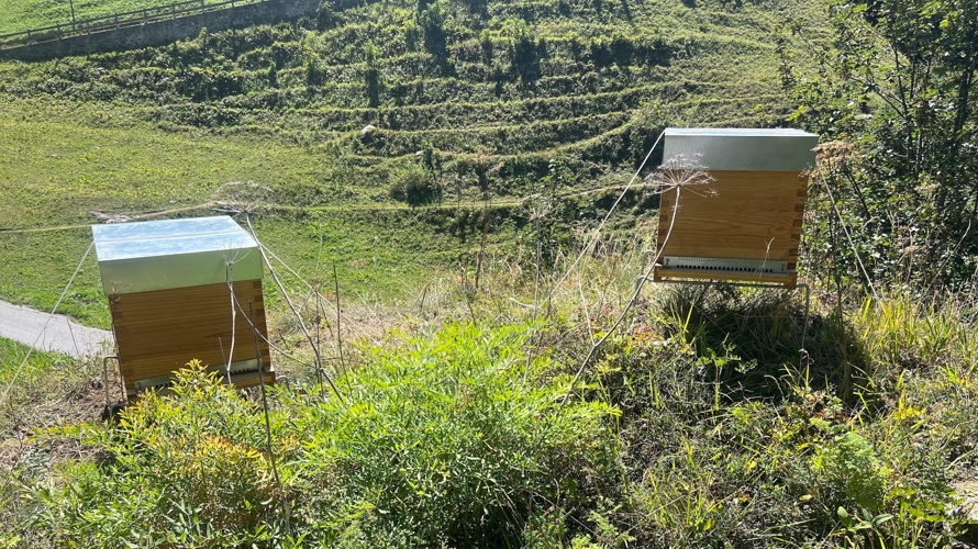 Zuflucht der Schwarzen Biene im Binntal