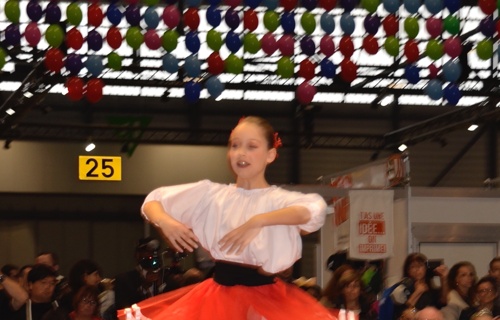 Relancer le salon de l'art et du movement de la danse