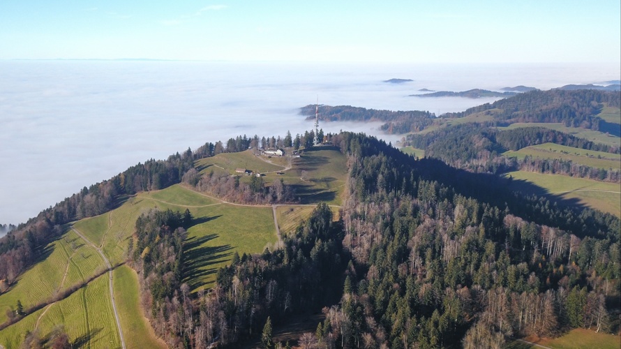 Unterhalt Bachtel-Trail