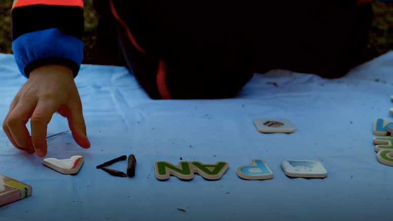 Ecole aux Akènes à Lens