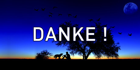 Finanzierungsschwelle - Hundesymposium.ch