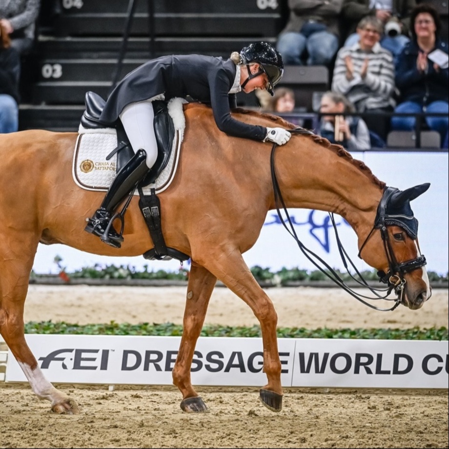 Freund:in des Winterzelts