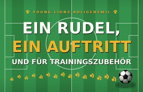 Ein Rudel, ein Auftritt: Trainingsanzüge für 15 junge Löwen