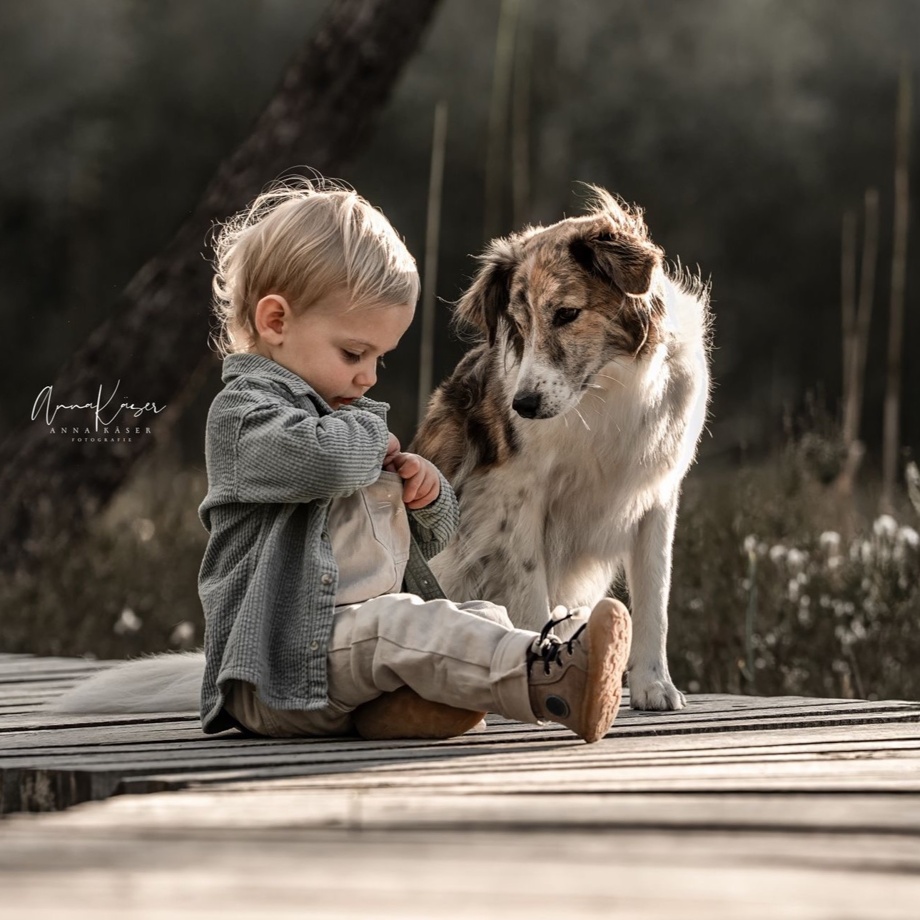 Professionelles Bild