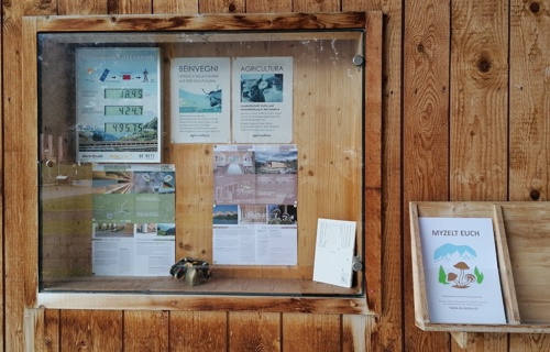 #FiastaDaBulius #EnzatgeiCunBulius #IrgendwasMitPilzen