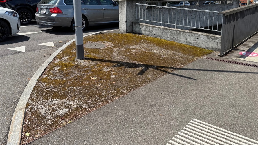 Pocket Park Bachstrasse