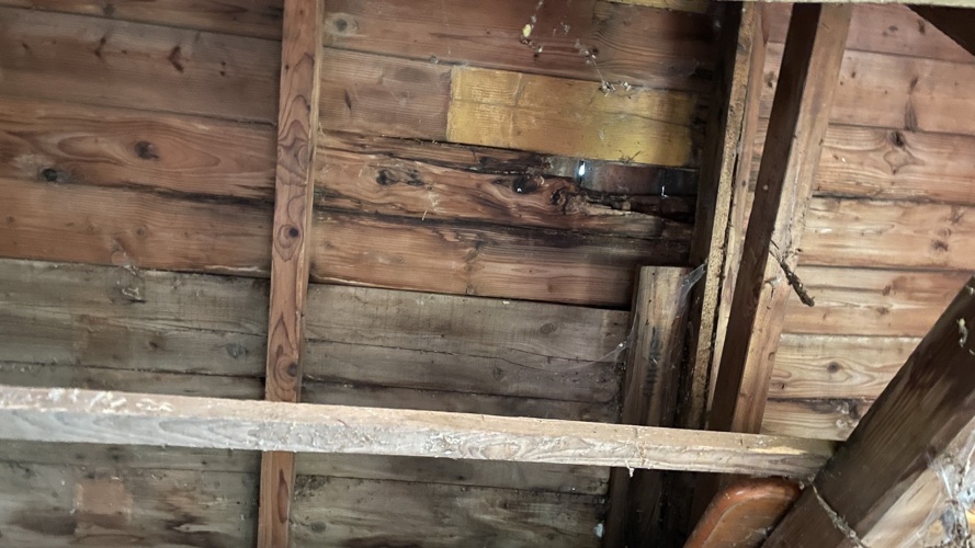 Sanierung Bienenhaus